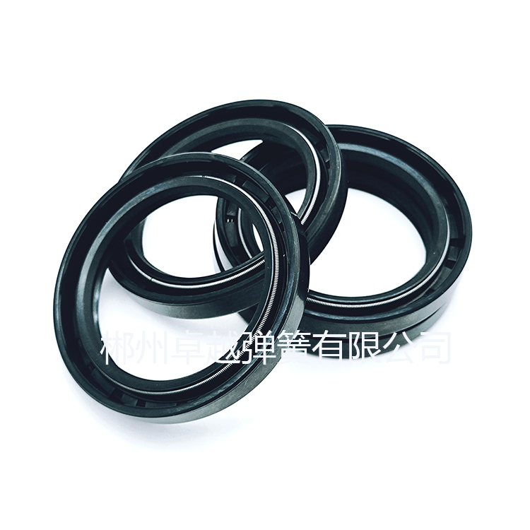 在眾多密封件中，彈簧蓄能密封件以其出色的性能脫穎而出，尤其是在應(yīng)對各種腐蝕性介質(zhì)方面表現(xiàn)卓越。